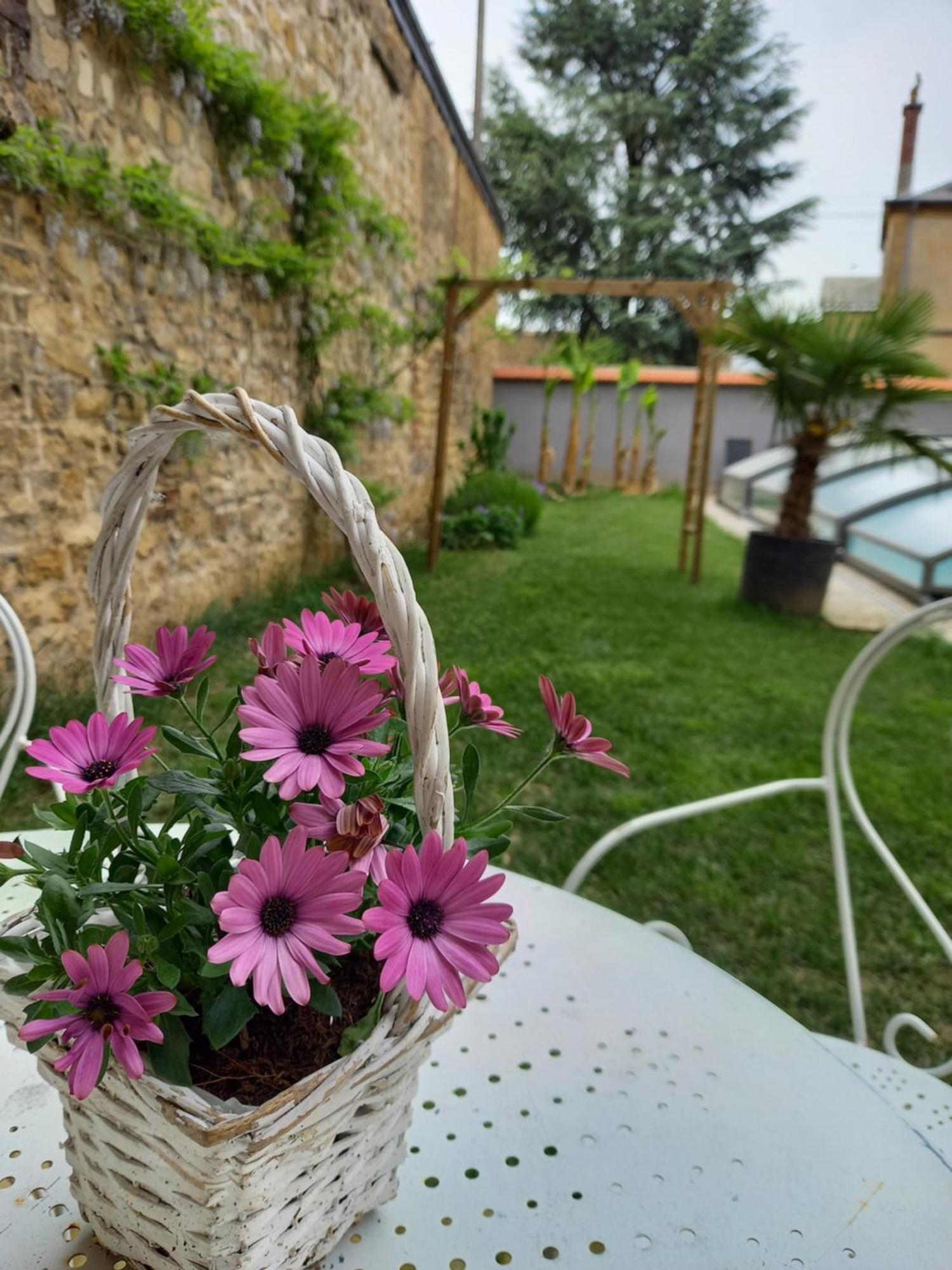 Appartement, 2Eme Etage Avec Piscine Partagee Sedan Exterior foto